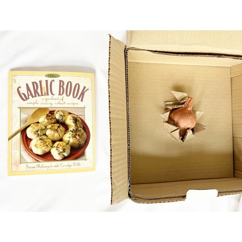 Vintage Terra Cotta Garlic Roaster Clay Baking Dish Italy